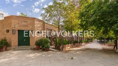 Apartment in Ibiza photo 24
