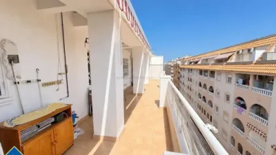 Pis – Torrevieja - Vista 3