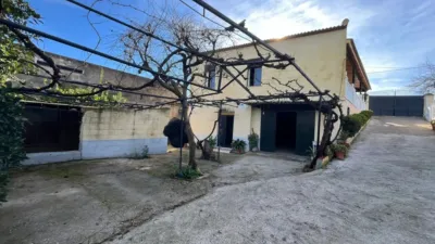 Rustic house in Palma del Río photo 12