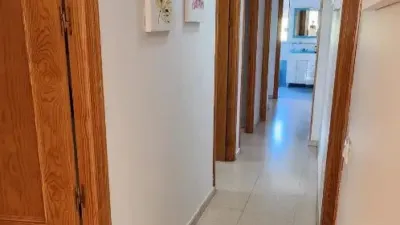 Apartment on Calle Pez Martillo photo 15