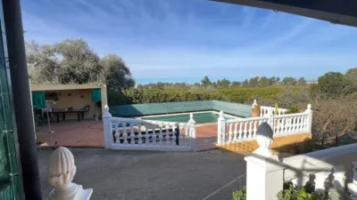 Rustic house in Palma del Río photo 4
