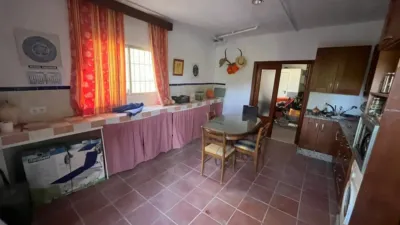 Rustic house in Palma del Río photo 13