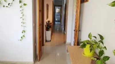 Apartment on Calle Pez Martillo photo 17