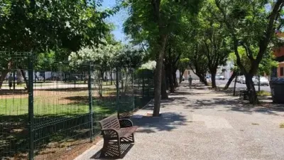 Apartment on Calle Pez Martillo photo 46