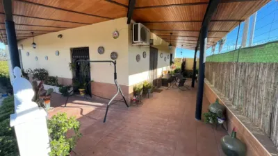 Rustic house in Palma del Río photo 2