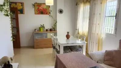 Apartment on Calle Pez Martillo photo 5