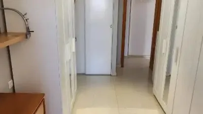 Apartment on Calle Pez Martillo photo 29