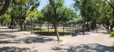 Apartment on Calle Pez Martillo photo 44