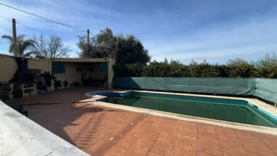 Rustic house in Palma del Río photo 3
