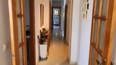 Apartment on Calle Pez Martillo photo 18