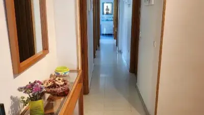 Apartment on Calle Pez Martillo photo 19