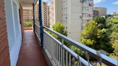 Pis – Alicante - Alacant - Més