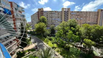 Pis – Alicante - Alacant - Vista 5