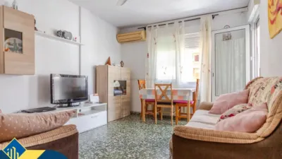Pis – Torrevieja - Vista 4