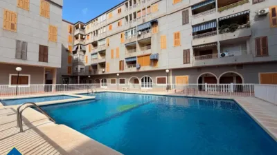 Apartment in Acequión-Los Naúfragos photo 4