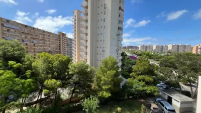 Apartment on Avenida de Bruselas photo 15