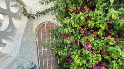 Piso – Pilar de la Horadada - Vista 5