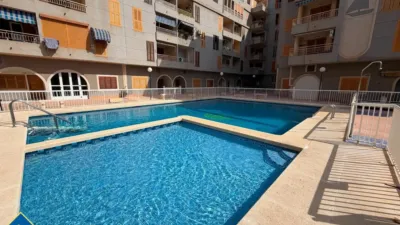 Apartment in Acequión-Los Naúfragos photo 3