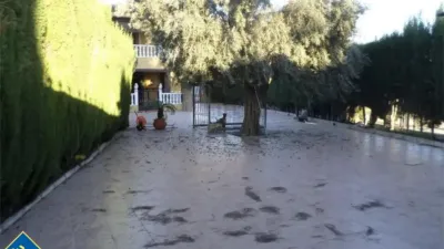 Casa – Redován, San Carlos - Vista 5