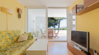 Apartamento en Els Pins photo 8