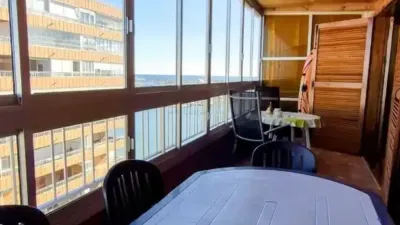 Pis – Torrevieja - Vista 4