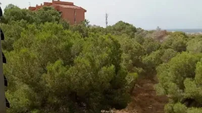 Apartment in Centre-Port-Platja Llevant photo 19