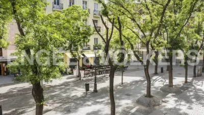 Apartment in Palacio photo 25
