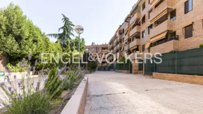 Apartment in Rejas photo 39