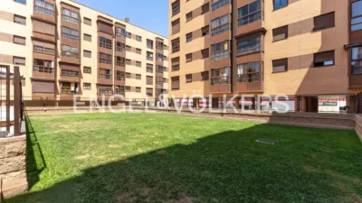 Apartment in Rejas photo 27