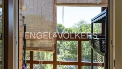 Apartment in Rejas photo 13