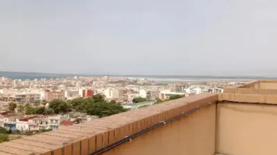 Apartment in Centre-Port-Platja Llevant photo 45