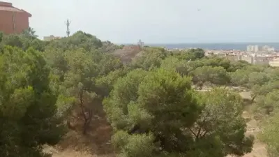 Apartment in Centre-Port-Platja Llevant photo 15