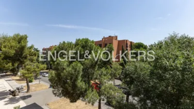 Apartment in Rejas photo 32
