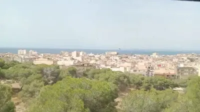 Apartment in Centre-Port-Platja Llevant photo 14