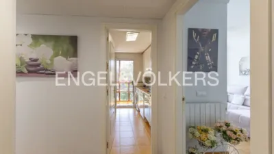 Apartment in Rejas photo 8