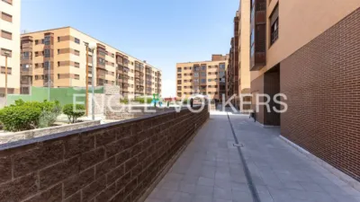 Apartment in Rejas photo 31