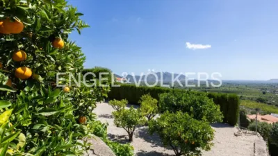 Villa in La Plana photo 57