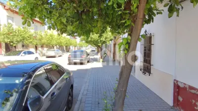 House in Palma del Río photo 22