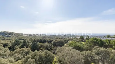 House in Hoyo de Manzanares photo 55