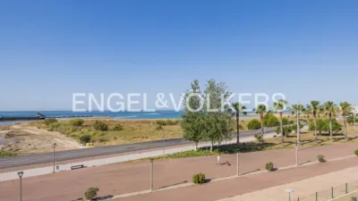 Apartment in Les Salines-Clot del Bassó-Mota de Sant Pere photo 51