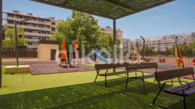 Apartment in Buenavista photo 26