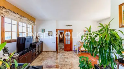 House in Sant Just Desvern photo 20