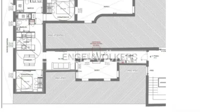 Apartment in Ibiza photo 4