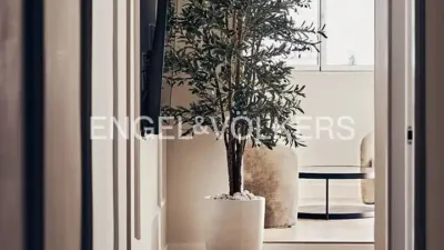 Apartment in Ibiza photo 14