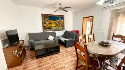 House on Calle de Minerva photo 2
