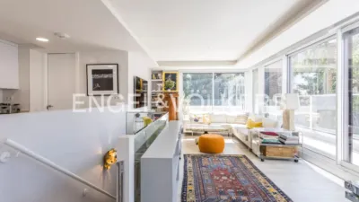 Duplex in Nueva España photo 3