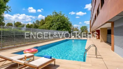 Apartment in Corralejos photo 6