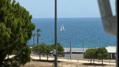 Apartment on Avenida de Denia photo 31