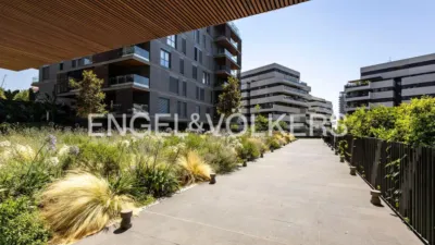Apartment in Esplugues de Llobregat photo 45