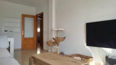 Flat on Calle Mar del Norte photo 3
